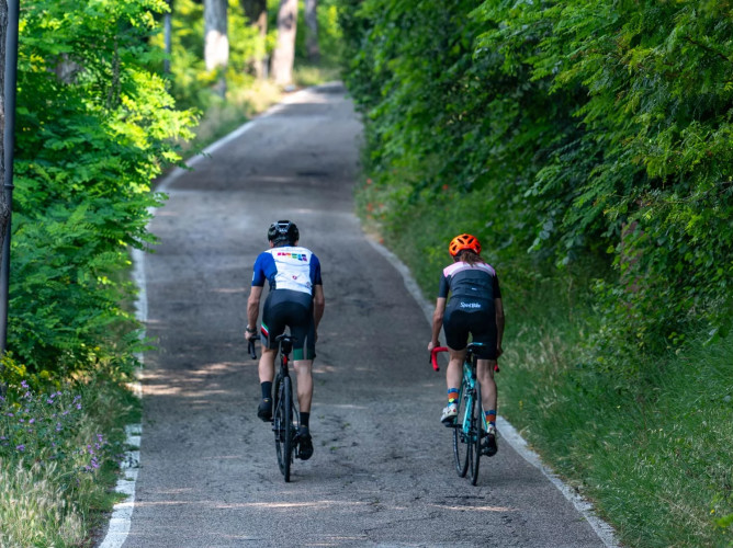 media.Slide-Bike_2Hotel-Tiffany-Cesenatico