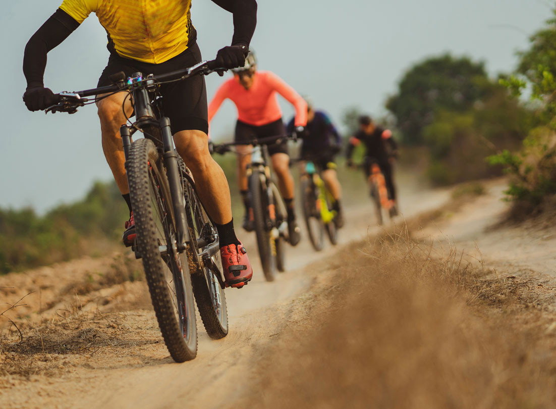 media.bosch-to-bosch-2024-offerta